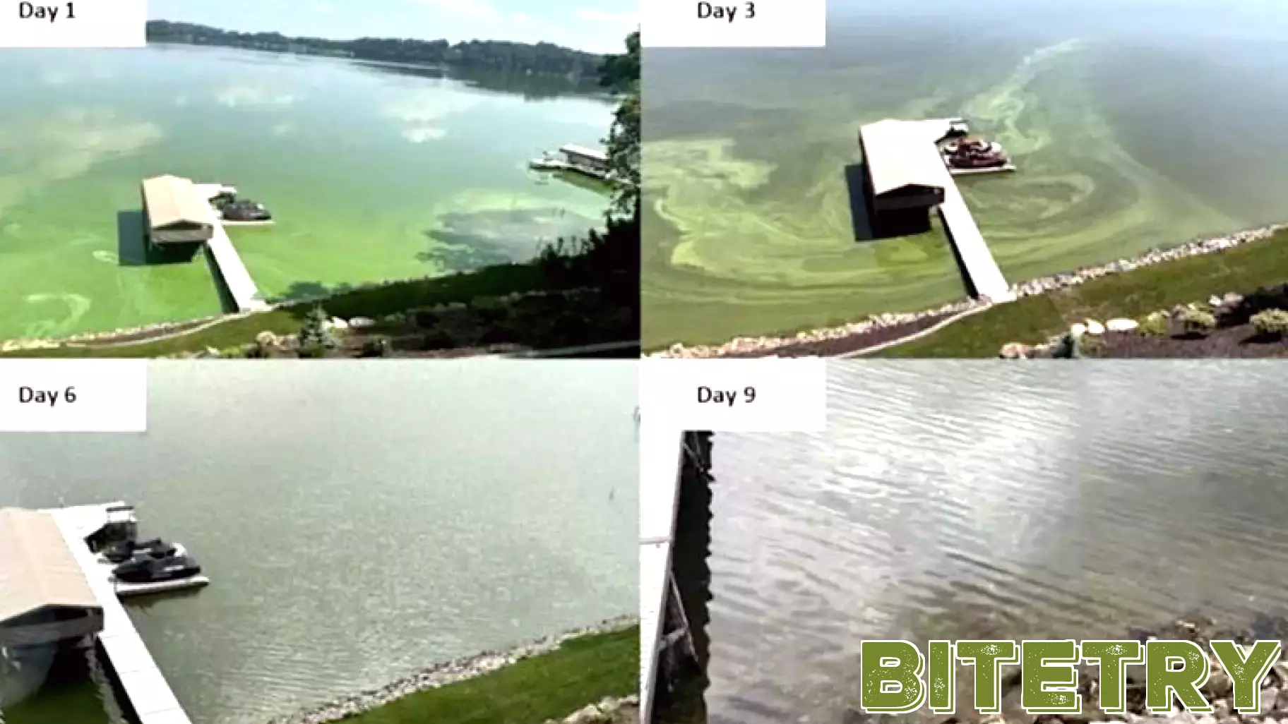 Innovative Local Technology Aims to Combat Algae in Lakes