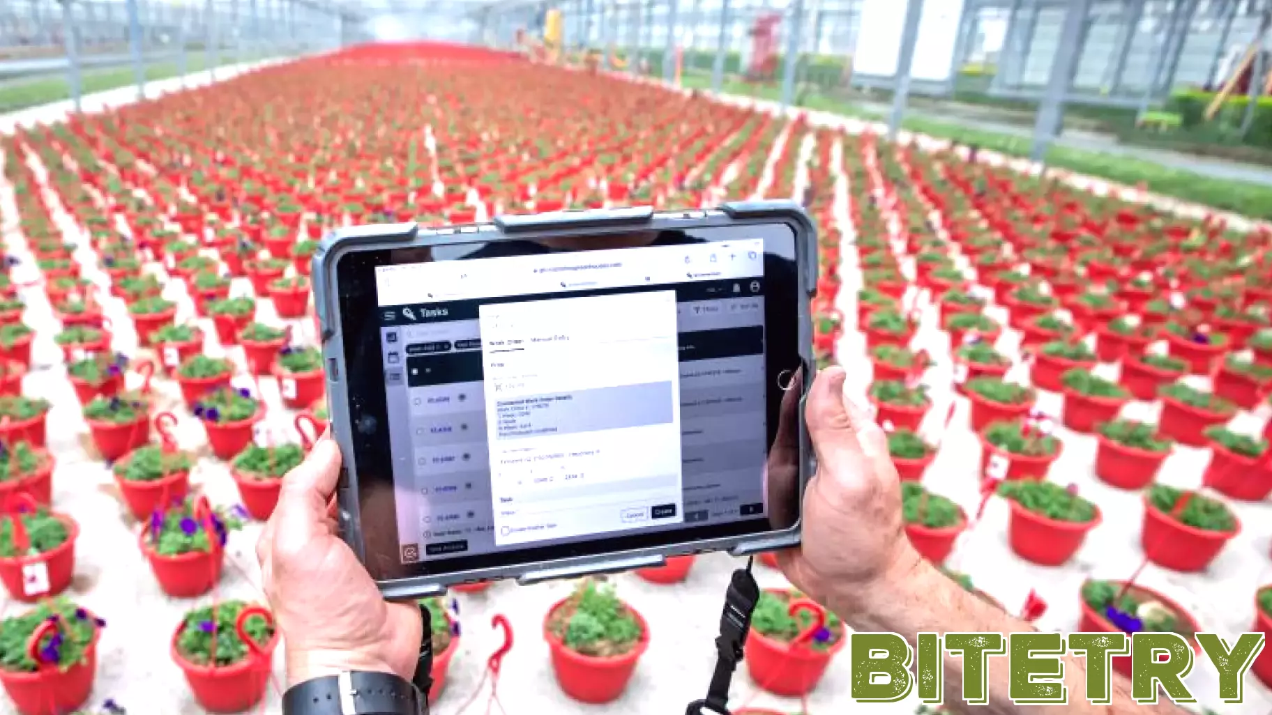 Discover Growmentum: The 2024 Technology of the Year for Greenhouses