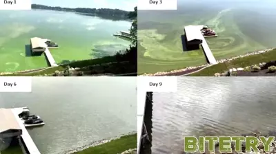 Innovative Local Technology Aims to Combat Algae in Lakes